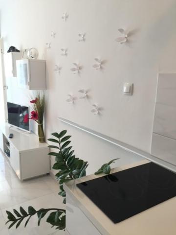 Cute Studio-Great Location Zadar Buitenkant foto